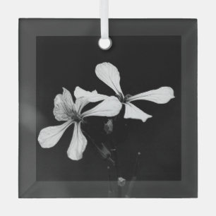 minimale schwarze und weiße Blumenelemente Ornament Aus Glas