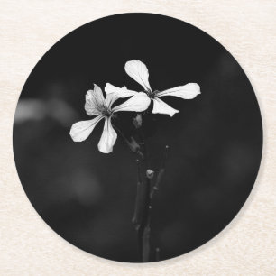 minimale schwarze und weiße Blumenelemente Runder Pappuntersetzer