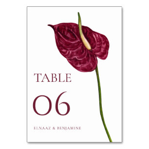 Minimale Wasserfarbe Anthurium Florale Hochzeit Tischnummer