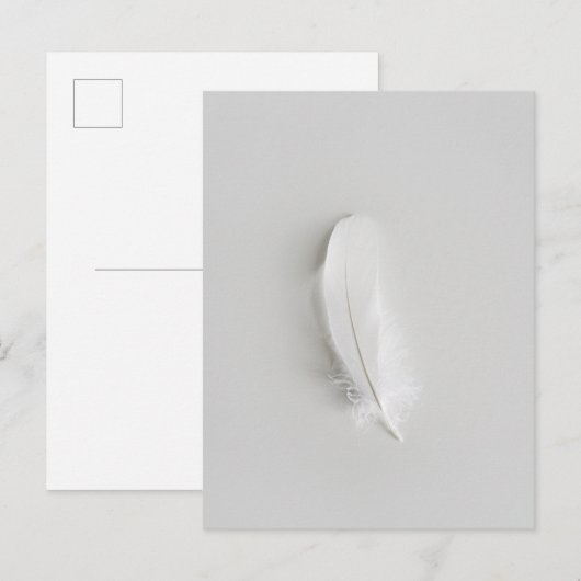 Minimale weiße Feder Postkarte (Vorne/Hinten)