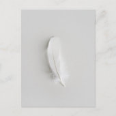 Minimale weiße Feder Postkarte (Vorderseite)