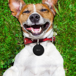 Minimaler Hund mit Schwarz-Weiß-Zubehör Haustiermarke