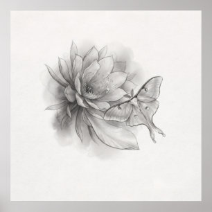 Minimaler Mondmotten-Lotusblumen-Bleistiftkunstpos Poster