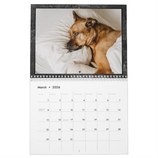 Minimalis Schwarz und Weiß Künstlerisches Multi-Fo Kalender (Mär 2026)