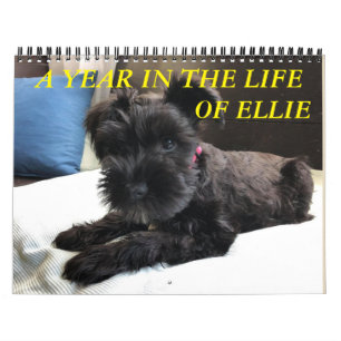 Minimalismus Kalender JEDES JAHR/GRÖSSE/FARBE/DES