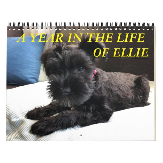 Minimalismus Kalender JEDES JAHR/GRÖSSE/FARBE/DESI (Titelbild)