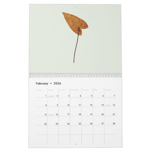 Minimalist Art Botanical 2026 Calendar Kalender (Feb 2026)