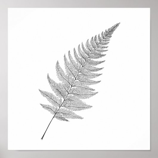 Minimalist Botanical Print: Elegant Fractal Fern Poster (Vorne)