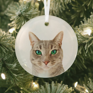 Minimalist Erstelle Dein eigenes benutzerdefiniert Ornament Aus Glas