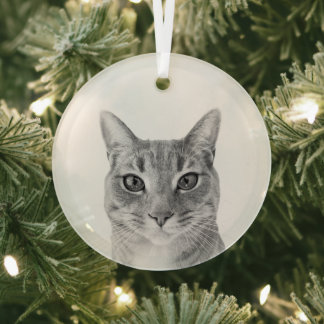 Minimalist Erstelle Dein eigenes benutzerdefiniert Ornament Aus Glas