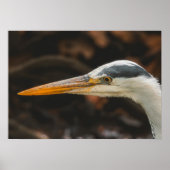 Minimalist Grey Heron Profile Fine Art Print Poster (Vorne)