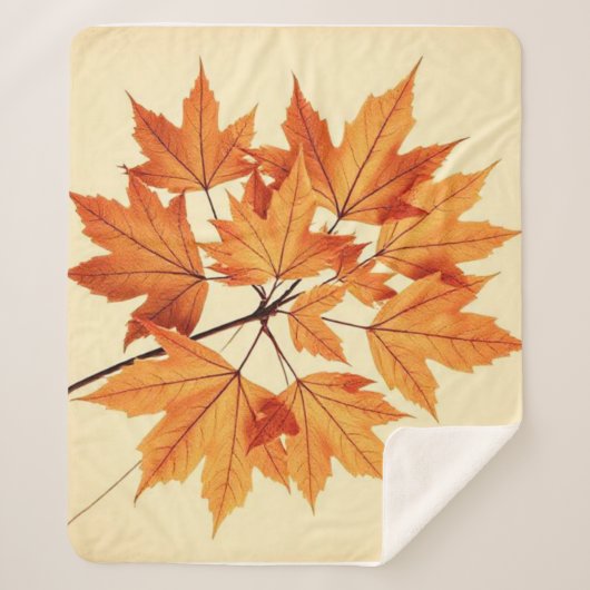 Minimalist Maple Leaves Art – Botanical Print Sherpadecke (Vorderseite)