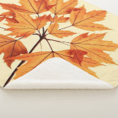 Minimalist Maple Leaves Art – Botanical Print Sherpadecke (3/4)