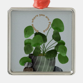Minimalist Money Plant - Premium Square Ornament Aus Metall