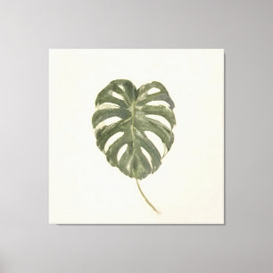 Minimalist panaschiertes Monstera-Blatt Vintage-Cr Leinwanddruck