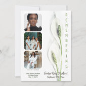 Minimalist Peace Lily Funeral Program Ankündigung (Vorderseite)