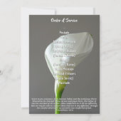 Minimalist Peace Lily Funeral Program Ankündigung (Rückseite)