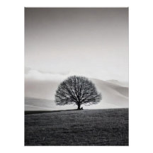 Minimalist Solitary Tree Landscape | Black & White