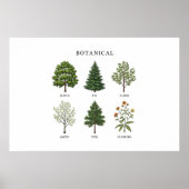 Minimalist Tree Names Poster (Vorne)