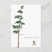 Minimalist Watercolor Spruce Wedding Timetable Begleitkarte (Rückseite)