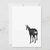 Minimalistisch Alpinistisches Gämse Bergziege auf  Einladung (Vorderseite)