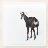 Minimalistisch Alpinistisches Gämse Bergziege auf  Glasuntersetzer (Vorderseite)