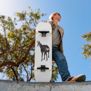 Minimalistisch Alpinistisches Gämse Bergziege auf Skateboard