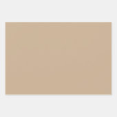 Minimalistisch-braune Kraft-Schwarz-weiß-Solid-Far Geschenkpapier Set (Vorderseite)