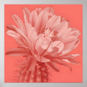 Minimalistisch Coral Cactus Bloom Poster (Vorne)