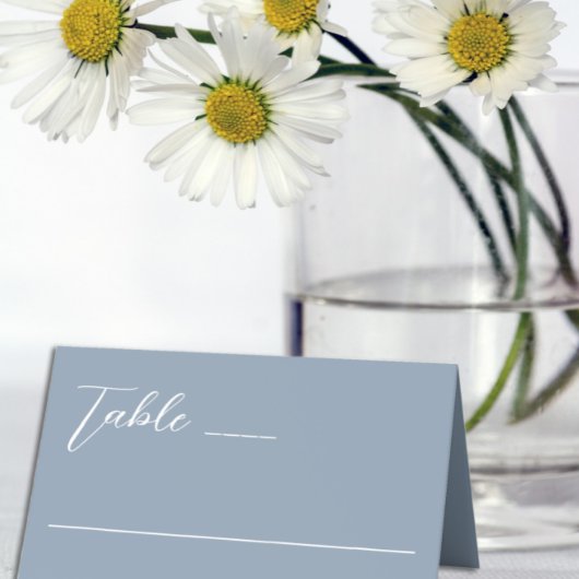 Minimalistisch Dusty Blue Wedding Platzkarte