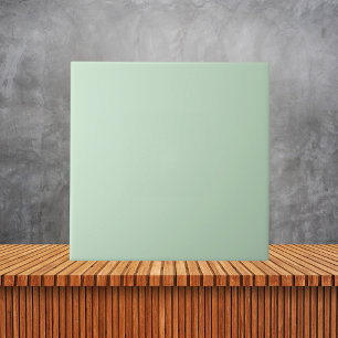 Minimalistisch Light Celadon Green Schlicht Solid  Fliese