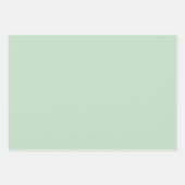 Minimalistisch Light Celadon Green Schlicht Solid  Geschenkpapier Set (Vorderseite 3)