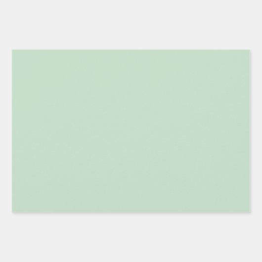 Minimalistisch Light Celadon Green Schlicht Solid  Geschenkpapier Set (Vorderseite 3)