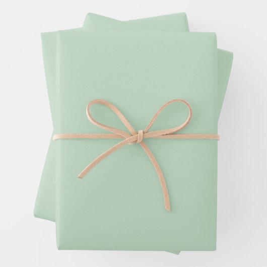 Minimalistisch Light Celadon Green Schlicht Solid  Geschenkpapier Set (Beispiel)