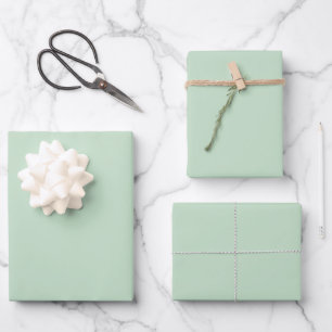 Minimalistisch Light Celadon Green Schlicht Solid  Geschenkpapier Set