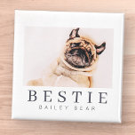 Minimalistisch Modernes Chic Pet Bestie BESTE FREU Magnet<br><div class="desc">Design setzt sich aus lustiger und spielerischer Typografie mit Sans Serif und Serif Schriftart zusammen. Fügen Sie ein benutzerdefiniertes Foto hinzu.</div>