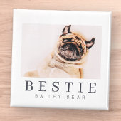 Minimalistisch Modernes Chic Pet Bestie BESTE FREU Magnet