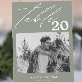 Minimalistisch Sage Wedding Tischnummer Bilder