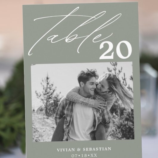 Minimalistisch Sage Wedding Tischnummer Bilder