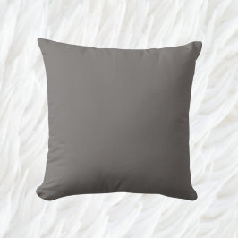 Minimalistisch Solid Gray Kissen