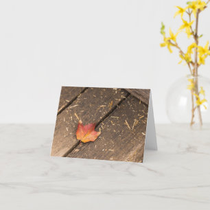 minimalistische Ahornblatt-Herbstfotografie Karte