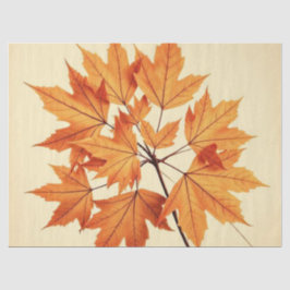 Minimalistische Ahornblätter-Kunst – Botanischer D Seidenpapier