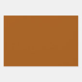 Minimalistische Bronzebraun solide schlichte elega Geschenkpapier Set (Vorderseite)
