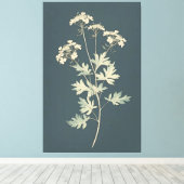 Minimalistische Cilantro-Blätter Leinwanddruck (Insitu (Holzboden))