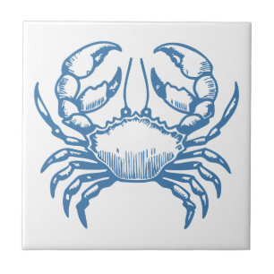 Minimalistische Crab Line Art Blue Kontur Coastal  Fliese