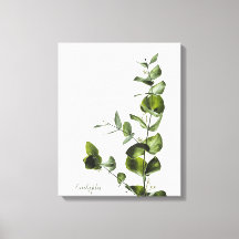 Minimalistische Elegantsage Eukalyptus Canvas Prin