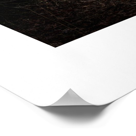 Minimalistische Foto- und Schreibmaschinenuntersch Poster (Ecke)