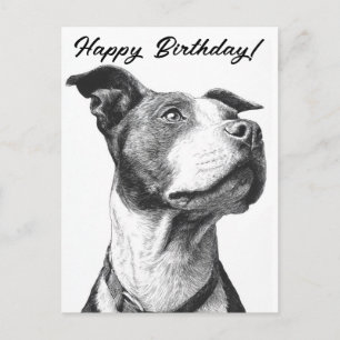Minimalistische Geburtstagskarte Pitbuli Schwarz/W Postkarte