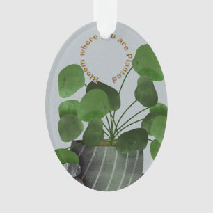 Minimalistische Geld-Pflanze - Acryl-Oval-Ornament Ornament