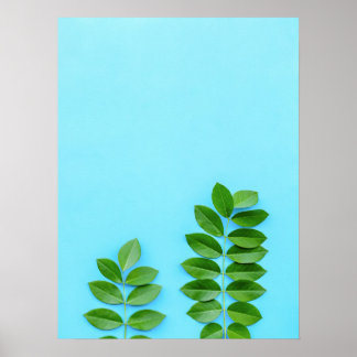 Minimalistische grüne Blätter über den blauen Hint Poster